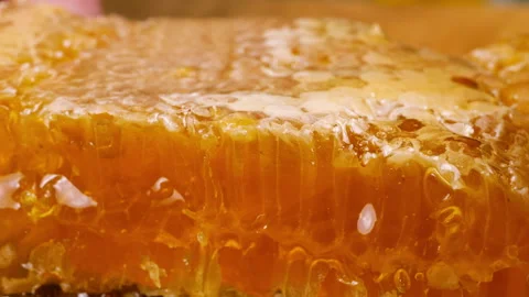 Cutting off the top layer of honeycomb with a knife. Close-up of wax cells. 스톡 동영상 313360165