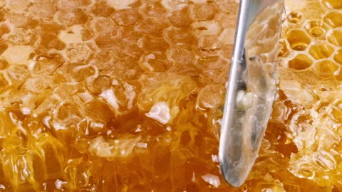 Cutting off the top layer of honeycomb with a knife. Close-up of wax cells. 스톡 동영상 313910073