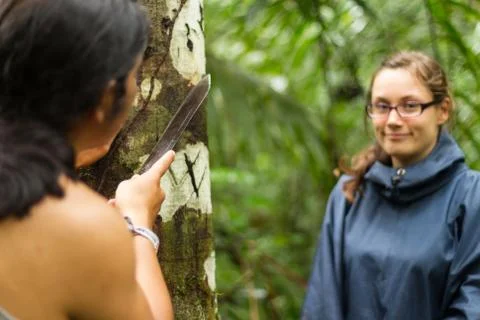 Cutting On Tree Bark Stock-Fotos