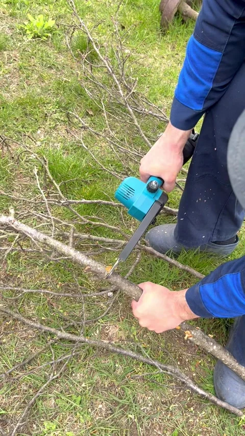 Cutting tree branch with electric saw tool on grass in outdoor setting. The vide Stock Footage 337782108