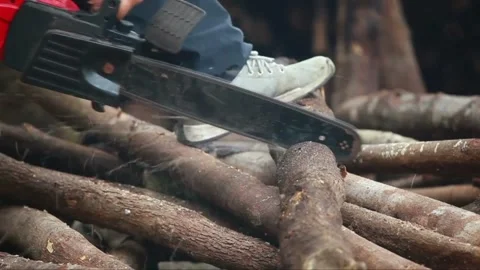 Cutting tree with Chainsaw falling down on the ground after Storm Arborist cuts 库存影片 336570426