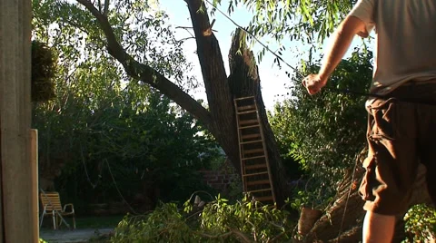 Cutting a Tree HD Stock Footage 40715591