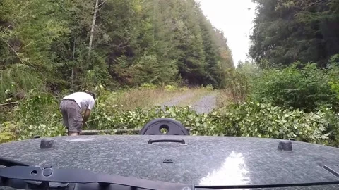 Cutting tree on road with Silky Big Boy 2000 Stock Footage 172458807