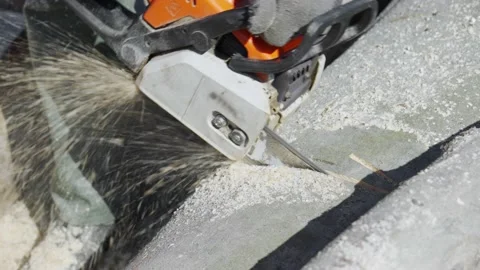 Cutting a tree trunk with a chainsaw. Stock Footage 171758128