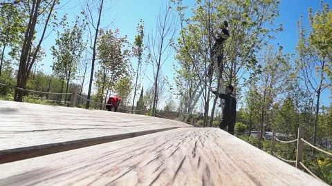 Cutting trees Video stock 90863291