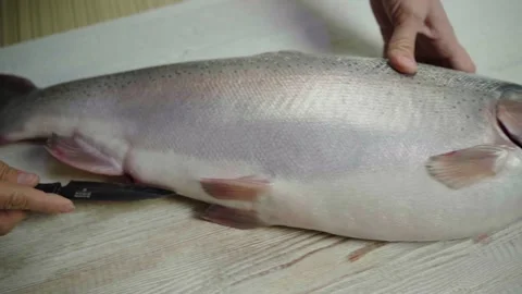 Cutting trout on the table Stock Footage 143624891