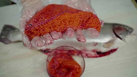 Cutting trout on the table Stock Footage 143625256