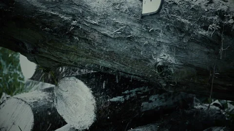 Cutting trunk with chainsaw / Slow motion Stock-Footage 68375973