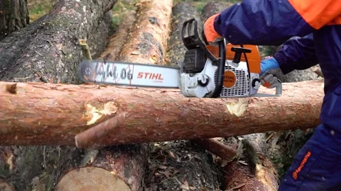 Cutting the trunks of fallen trees for firewood as an alternative heating system Stock Footage 219686488