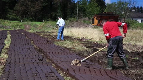 Cutting turf in the bog Stock-Footage 132059497