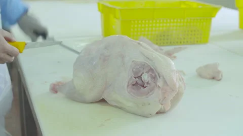 Cutting the turkey carcass Stock Footage 66572942