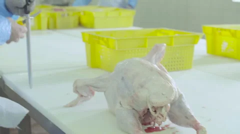 Cutting the turkey carcass Stock Footage 66572944