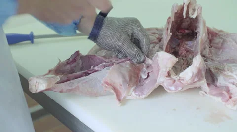 Cutting the turkey carcass Stock Footage 66592597