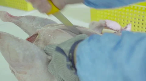 Cutting the turkey carcass Stock Footage 66594006