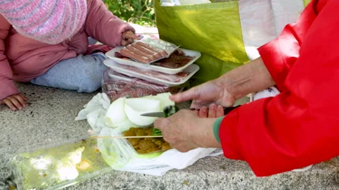Cutting vegetables in the field for bbq Stock Footage 219266769