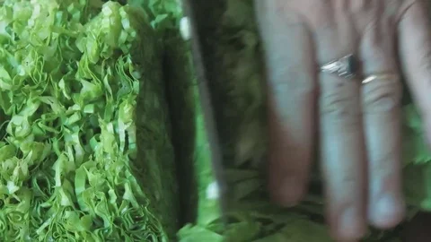 Cutting vegetables with knife Stock Footage 70375751