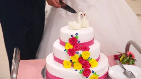 Cutting wedding cake Stock Footage 51402540