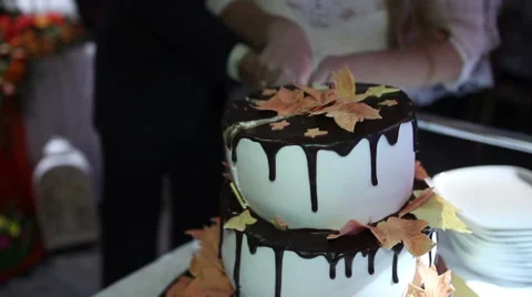 Cutting Of Wedding Cake Stock Footage 61847636