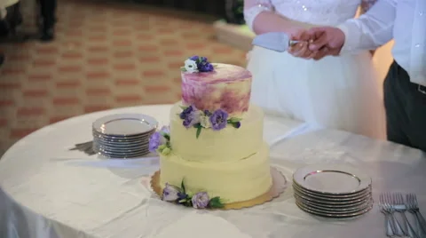 Cutting the wedding cake Stock Footage 66708771