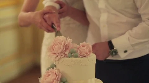 Cutting wedding cake no face bride and groom hands close up shallow depth field Stock Footage 70685075