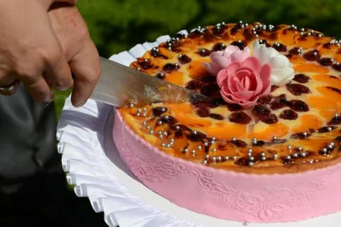Cutting the wedding cake Fotos Stock