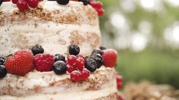 Cutting wedding cake sequence Stock Footage 86062603
