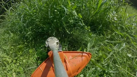 Cutting weeds  with a trimmer for grass Stockbeeldmateriaal 159439320