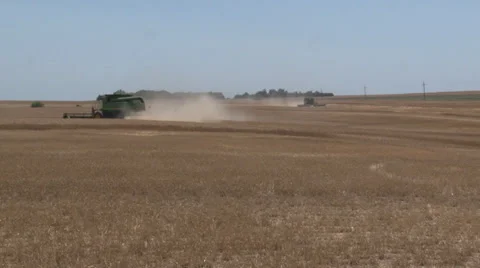 Cutting Wheat Stock Footage 35581893