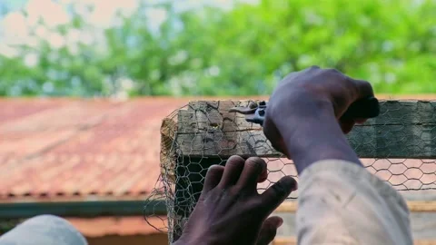 Cutting Wire Mesh Fence Attached to Wooden Post Stock Footage 320839659