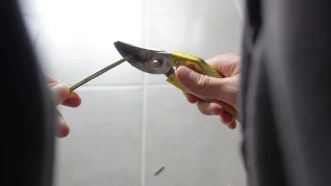 Cutting wire with yellow pruning shears. Close-up of metal blades and Stock Footage 334418734