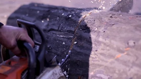 Cutting wood with a chainsaw Stock Footage 83926589