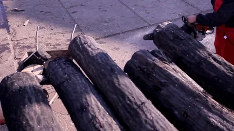 Cutting wood with a chainsaw Stock Footage 84147937