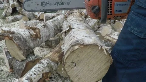 Cutting wood with chainsaw Stock Footage 145367275