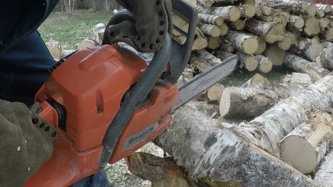 Cutting wood with chainsaw Stock Footage 145367455