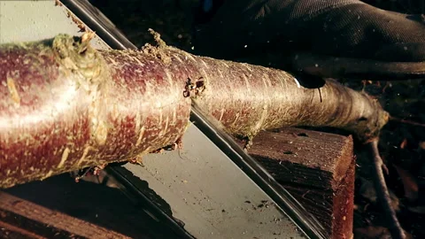 Cutting wood with a chainsaw in slow motion Stock Footage 143865327