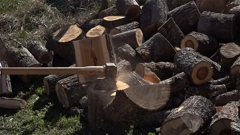 Cutting Wood For Fireplace Stock Footage 82173715