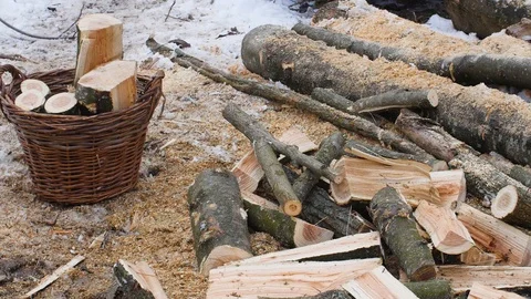 Cutting Wood In Forest At Winter Stock Footage 87698031