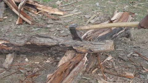 Cutting of wood log with tools like axe. Indian labor cutting wood log. Sawing Stock Footage 172183870