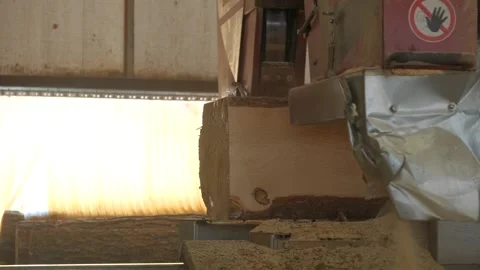 Cutting wood on a machine Stock Footage 165141259