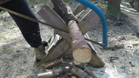 Cutting wood manually with bow saw, 120fps Stock Footage 146014464