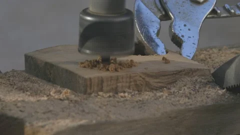 Cutting wood for the ring Stock Footage 151487827