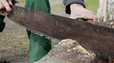 Cutting wood saw Video stock 47951733