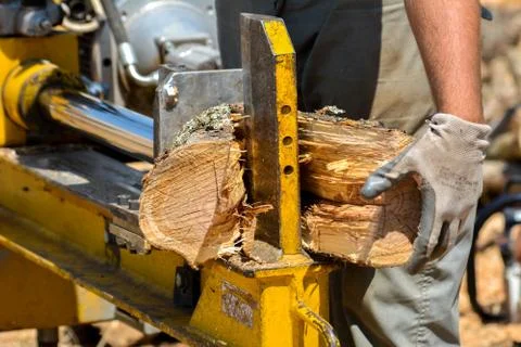 Cutting woods in logs Stock Photos