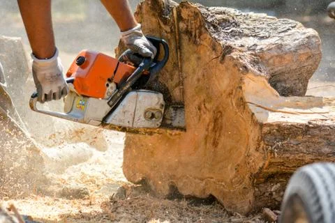 Cutting woods in logs 库存照片