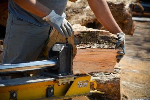 Cutting woods in logs Stock Photos