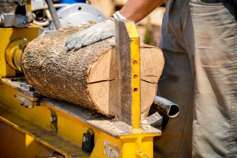 Cutting woods in logs Stock Photos