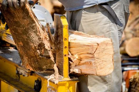 Cutting woods in logs Stock Photos