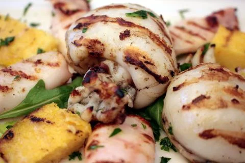 Cuttlefish and squid Stock Photos