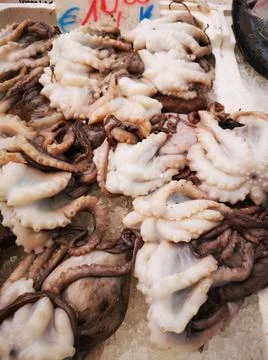 Cuttlefish in open seamarket Foto stock