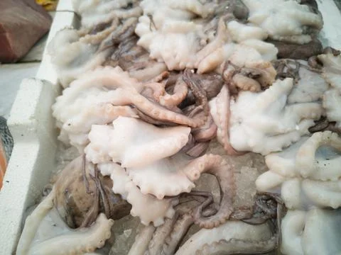Cuttlefish in open seamarket Stock Photos